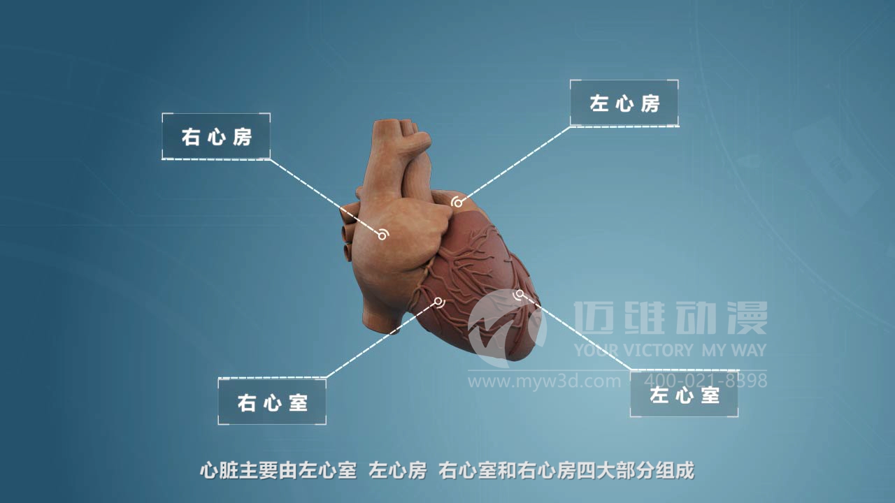 醫療器械三維動(dòng)畫(huà)制作