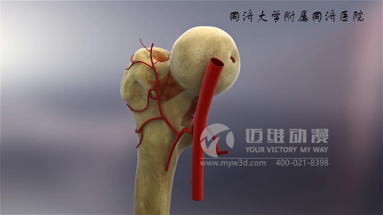 醫學(xué)仿真三維動(dòng)畫(huà)演示