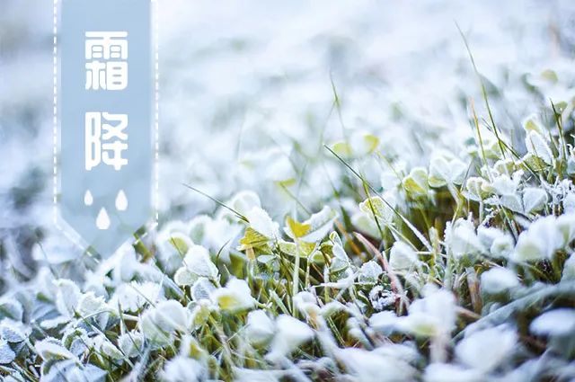 邁維動(dòng)漫公司新聞 邁維動(dòng)漫公司新聞