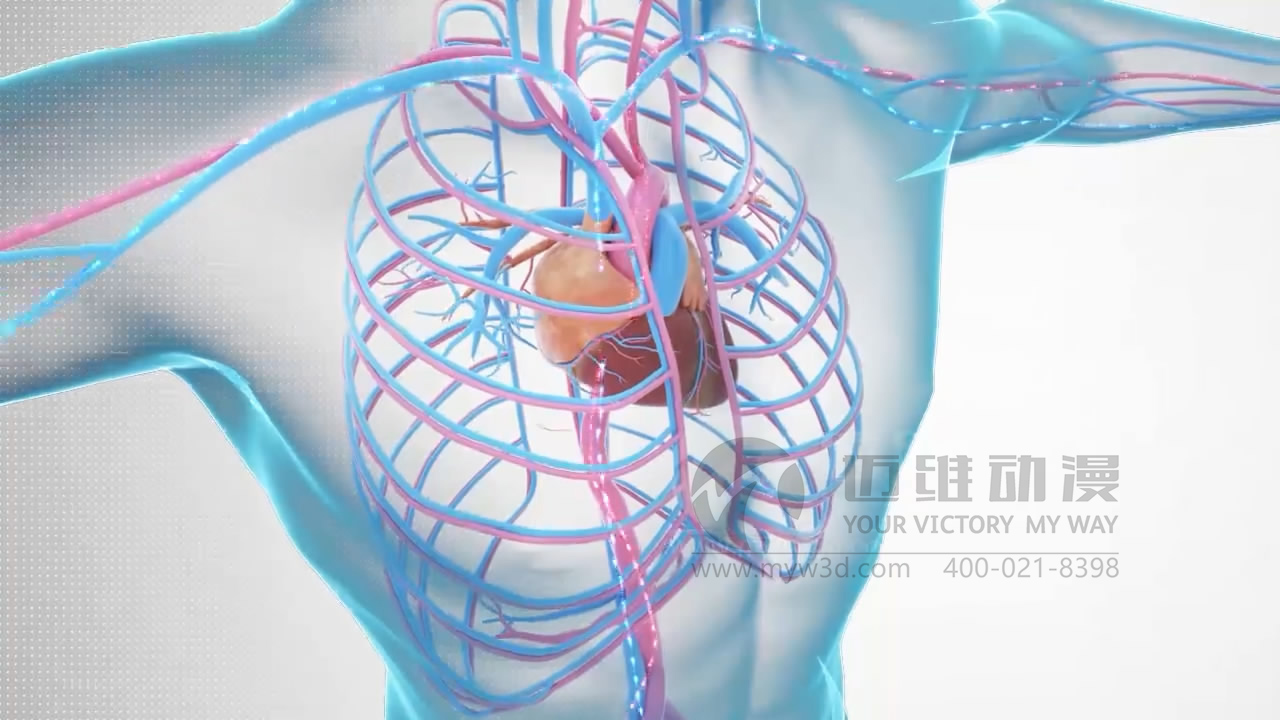 醫學(xué)醫療三維動(dòng)畫(huà).JPG