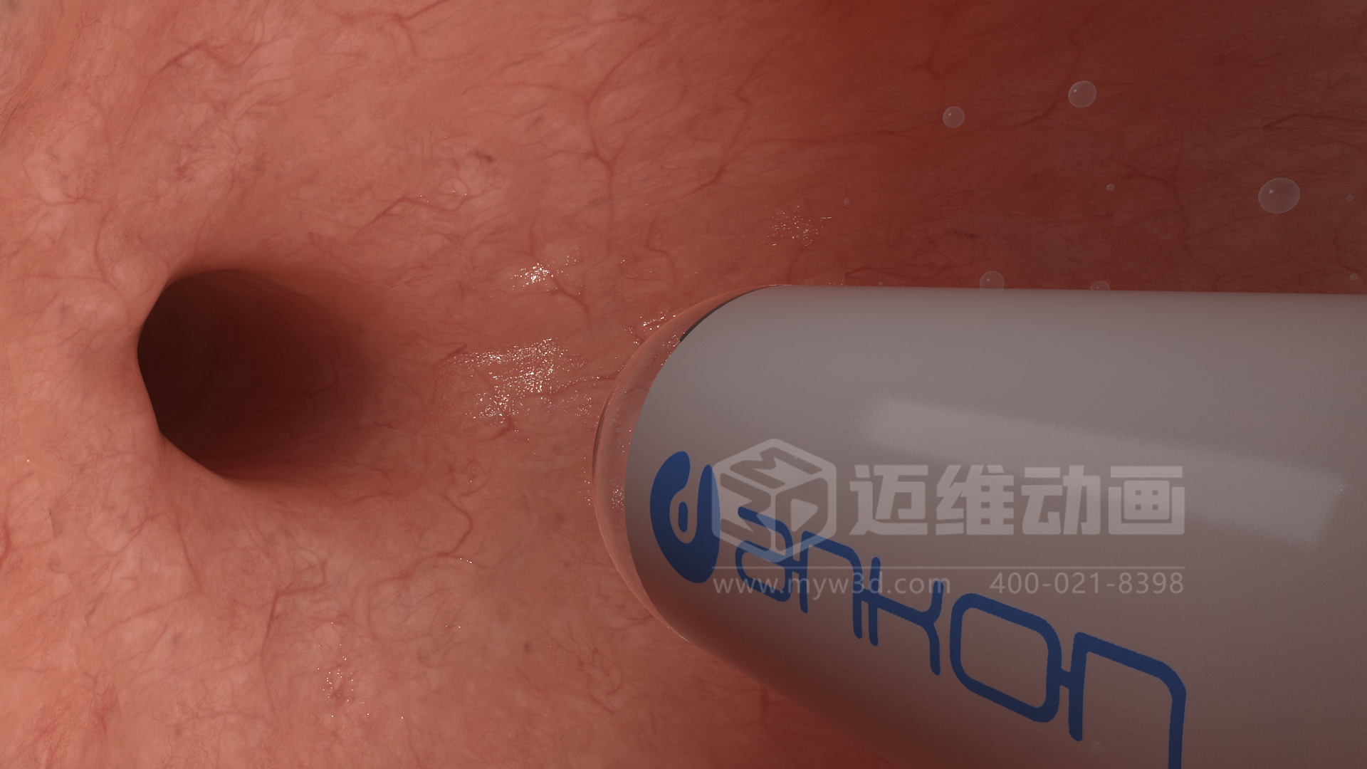 磁控膠囊機器人三維動(dòng)畫(huà)(圖4)