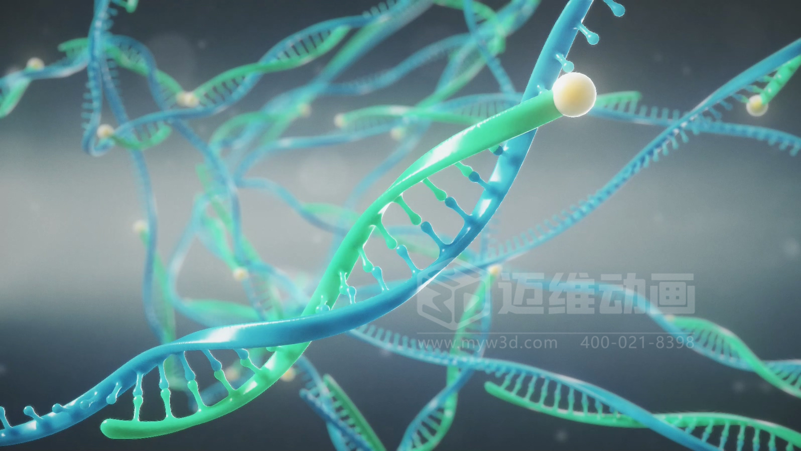 微觀(guān)世界竟能“動(dòng)”起來(lái)？生物科技三維動(dòng)畫(huà)帶你沉浸式探索生命奧秘(圖3)
